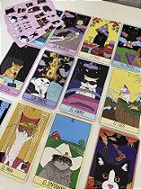 Tarot Gatitos Meme