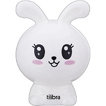 APONTADOR COM DEPOSITO COELHO