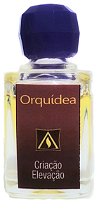 Orquídea - Essência