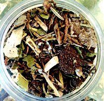 Limpeza Forte - Defumação