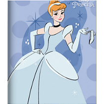 Caderno Brochurão Capa Dura 80 Folhas Feminino Jandaia 1 Pacote Com 5 Unidades