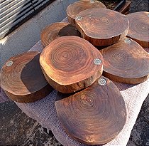 Tábua de servir Amazonas