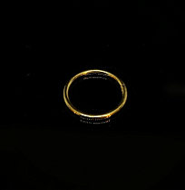 Argola Dourada Lisa Titânio