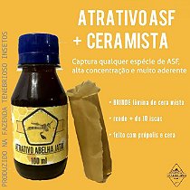 Atrativo para Captura de Abelhas sem Ferrão - Jataí, Mandaçaia, Mandaguari