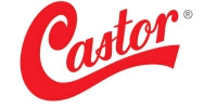 CASTOR