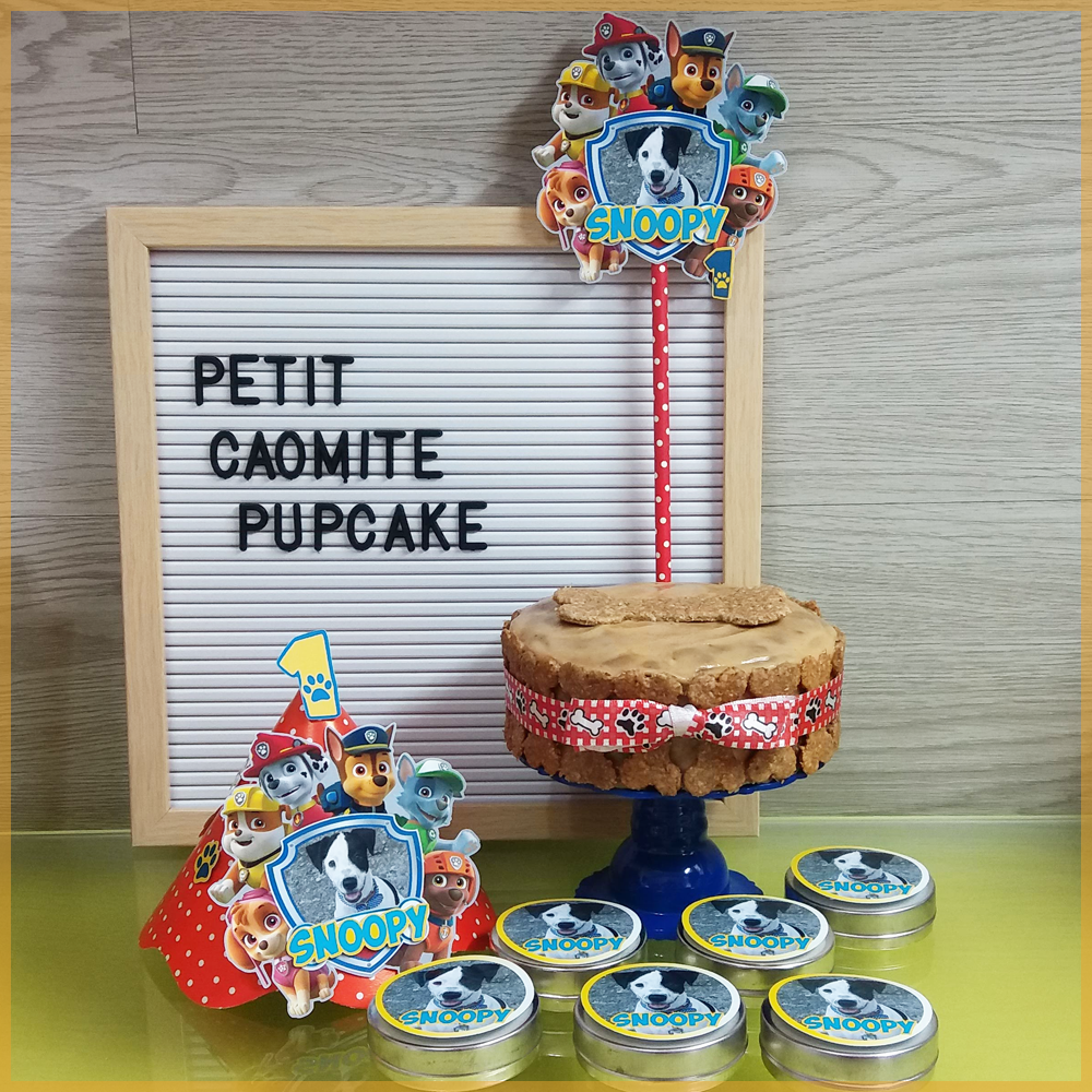 Petit Cãomite Patrulha Canina