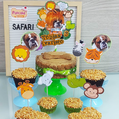 Festa Safari