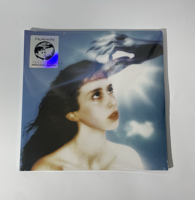 Magdalena Bay - Imaginal disk カラー盤 LP Magdalena Bay - Imaginal disk カラー盤 LP Magdalena Bay