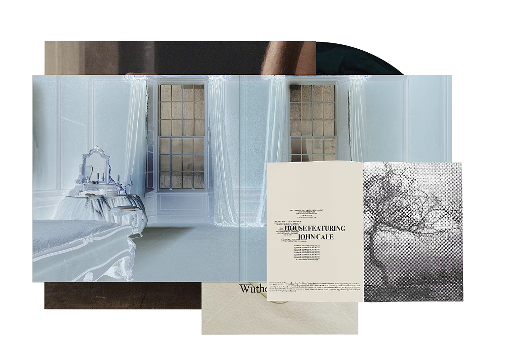 charli xcx wuthering heights コレクターエディション Charli XCX - Wuthering Heights (Collector's Edition) - LP