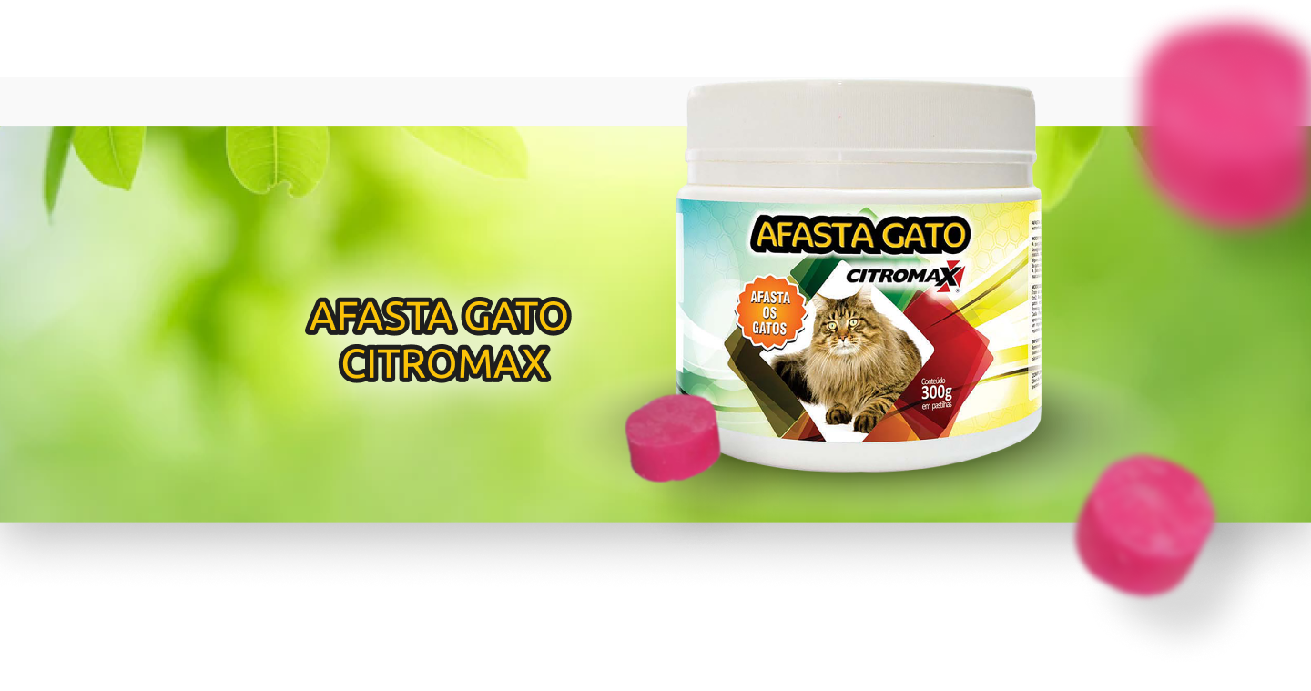 Imagem Responsiva