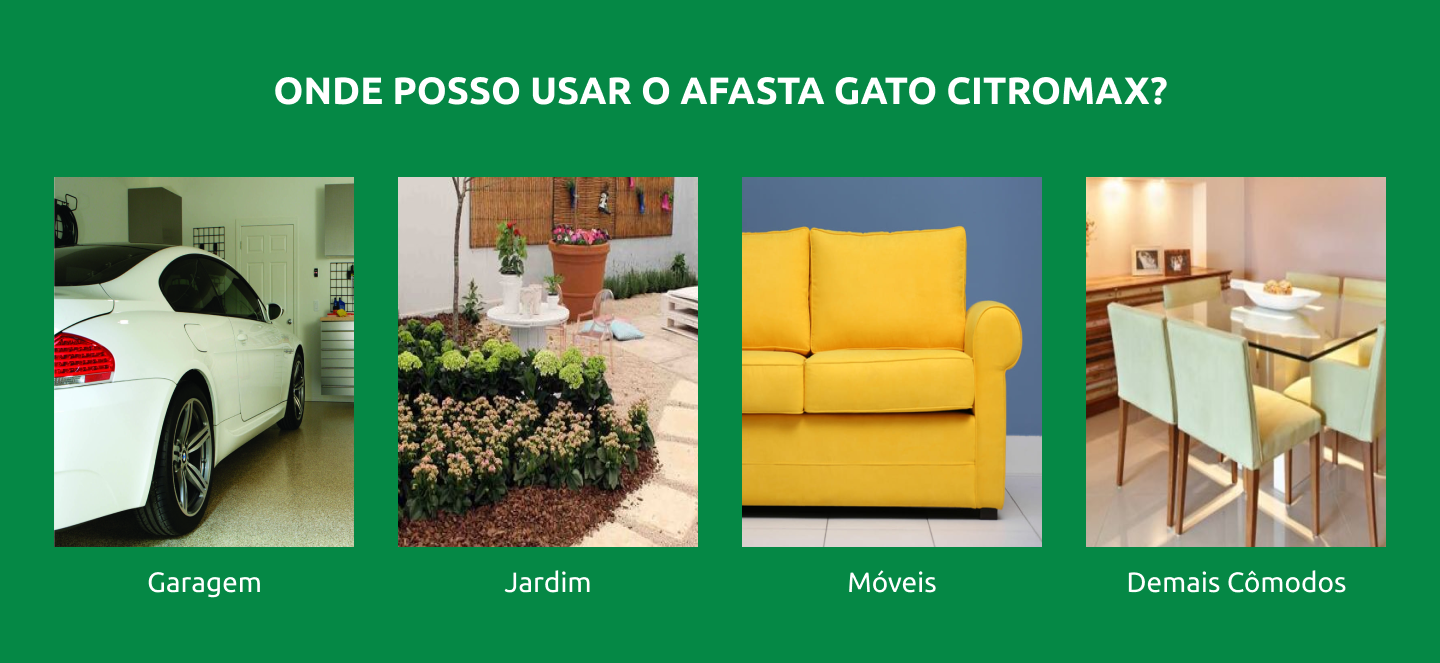 Imagem Responsiva