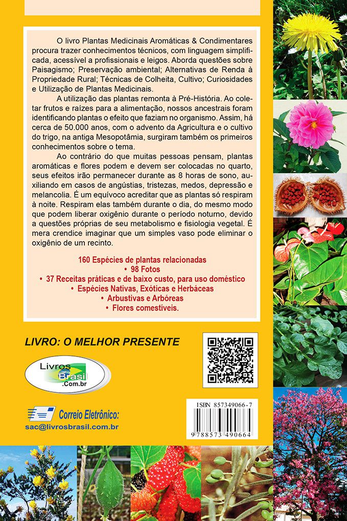 Mio-mio  Plantas Medicinais - Aromáticas - Condimentares