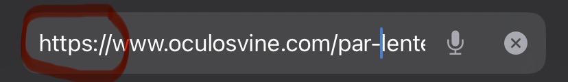 exemplo de uma loja de óculos online confiável, a Óculos Vine, utilizando o protocolo https em seu site