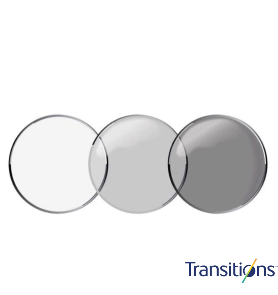 Lentes Orma Transitions com Crizal Easy Pro Óculos Vine