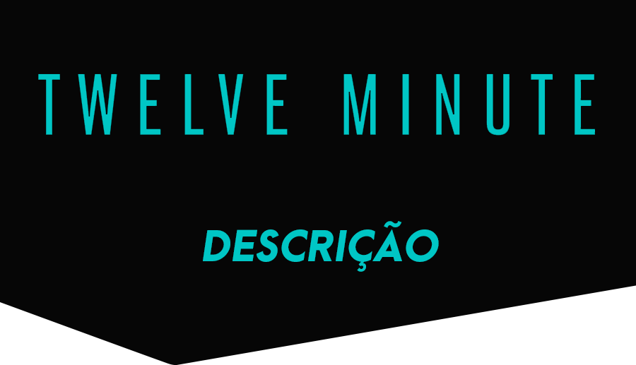 Twelve Minutes – Suporte ao jogo