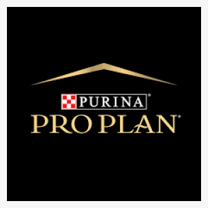 Pro Plan