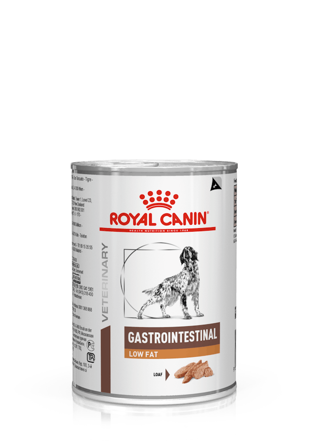 Ração Úmida Terapêutica para Cães Royal Canin Lata Intestinal Low