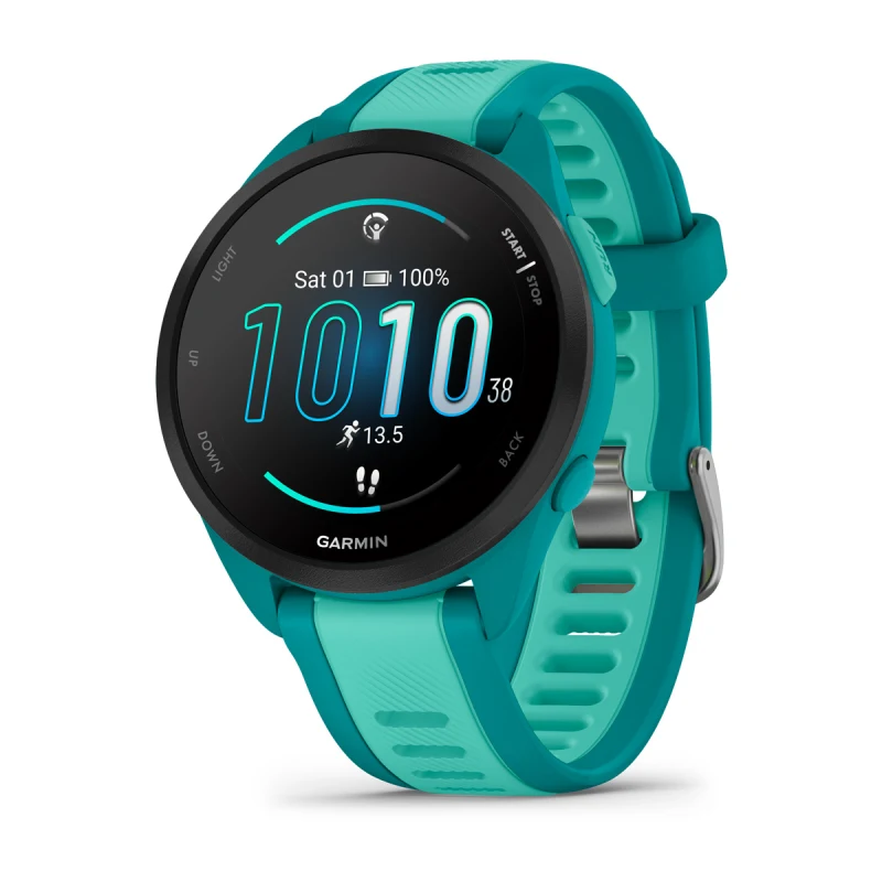 Garmin 245 altimetro hotsell