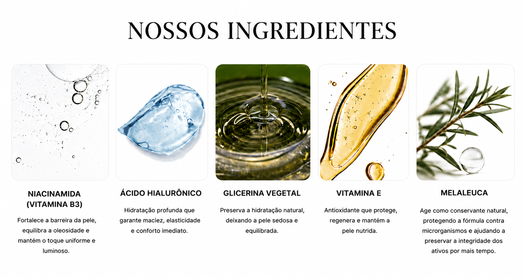 Nossos Ingredientes