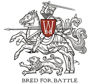 Warhorse Studios