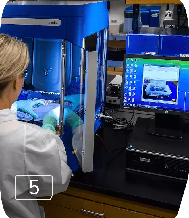 Calibração Graulab