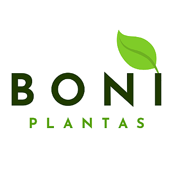 Boni