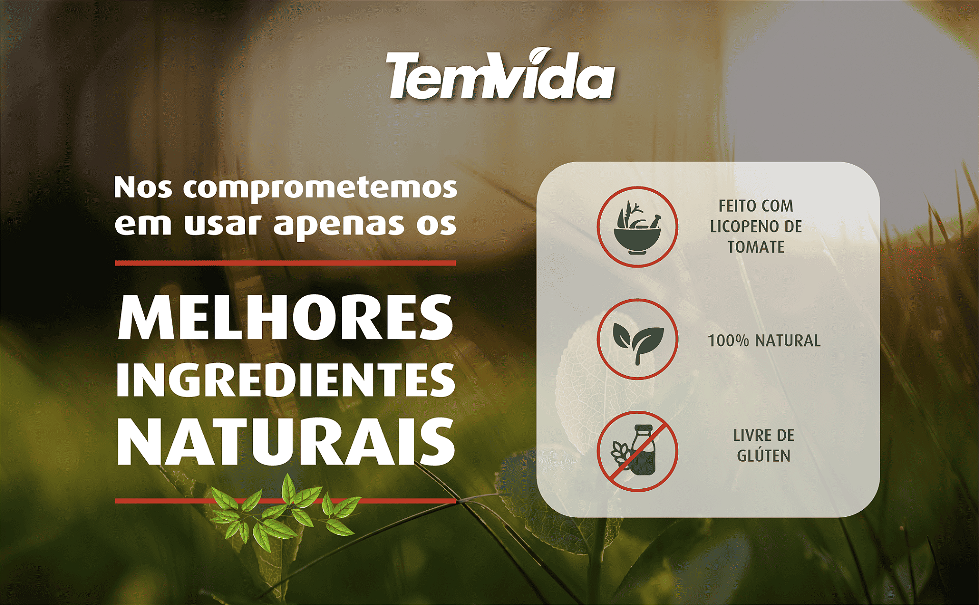 Licopeno Tem Vida - Informações do Produto