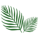 Logo de Indaia Delta