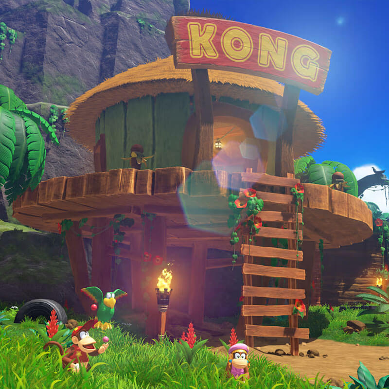 ZELDA DONKEYKONG セット売り Donkey Kong Bananza DK Island and Emerald Rush DLC - Nintendo