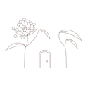 Logo de Casa Candeia