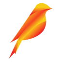 Logo de Universo dos Pássaros
