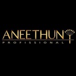 Aneethun