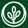 Flora Nova Era