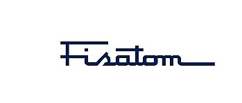 Fisatom