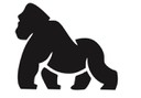 Logo de Fique Sempre na Moda
