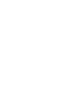 IGNORUS