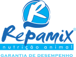 Repamix