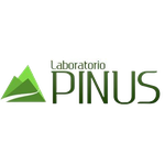 Pinus