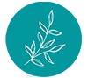 Logo de @casadalility