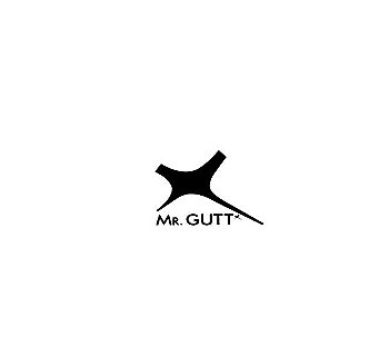Mr Gutt
