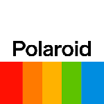 Polaroid Eyewear