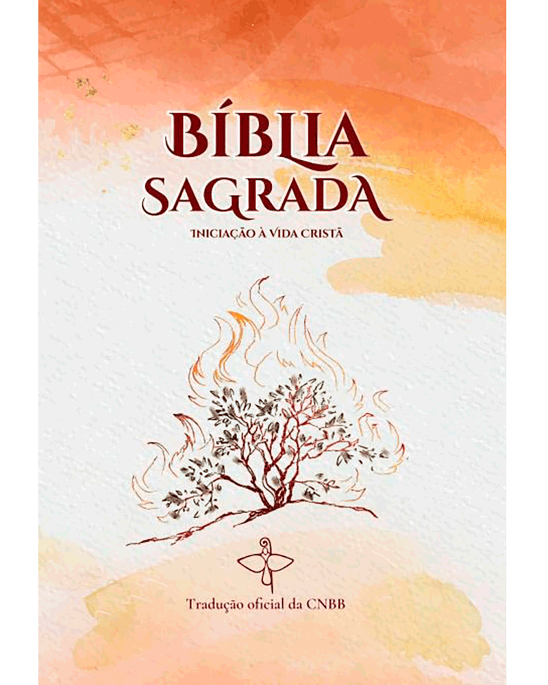 Bíblia Sagrada Iniciação à Vida Cristã Fazenda da Esperança Loja  