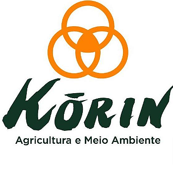 Korin