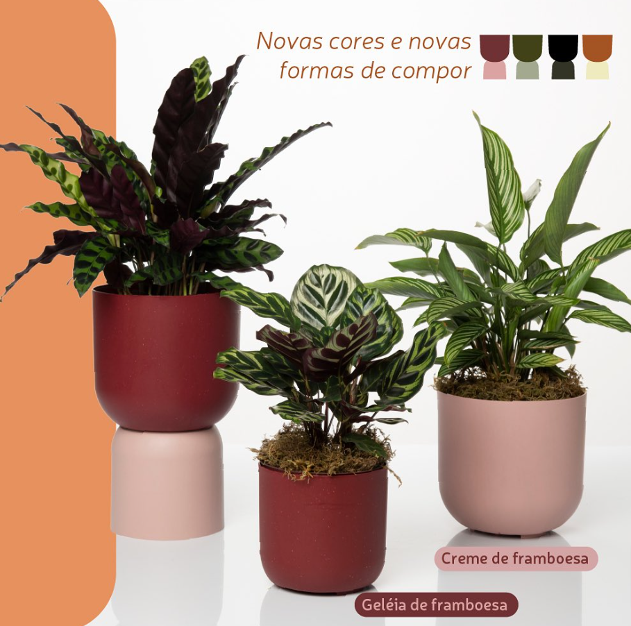 Cachepo N 3 - Coleção Due da Raiz - 15x16cm - Várias Cores - Verde
