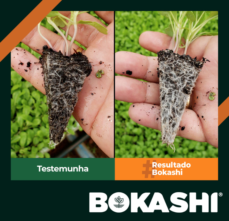 Adubo orgânico para plantas: benefícios, tipos e como usar corretamente 12 Image