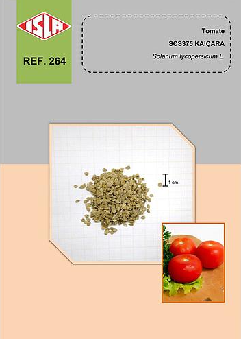 Sementes de Tomate Kaiçara - 200mg - Orgânico Isla - Verde Mania
