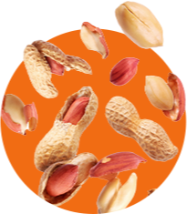 Texto alternativo para a imagem