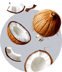 Texto alternativo para a imagem