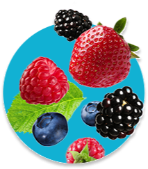 Texto alternativo para a imagem