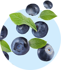 Texto alternativo para a imagem